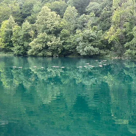 Holiday home Vikendica Raj